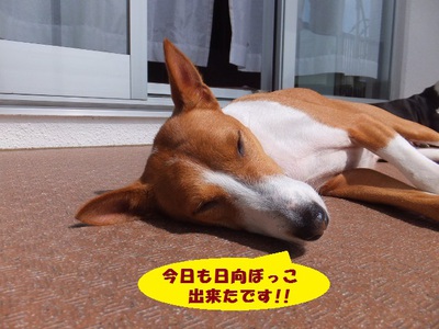 がんばりませう！！