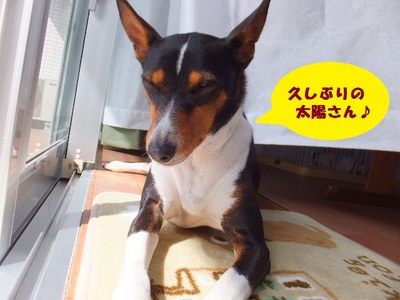 シミ・ソバカス。。