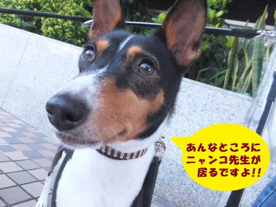 台風が来るよ・・・(**)