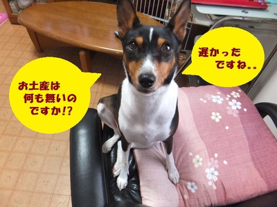 イヤイヤ星人降臨といろいろ～。。
