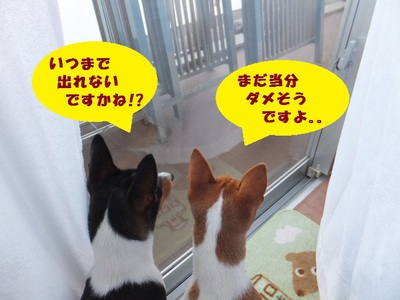 こんな日もある～（笑）