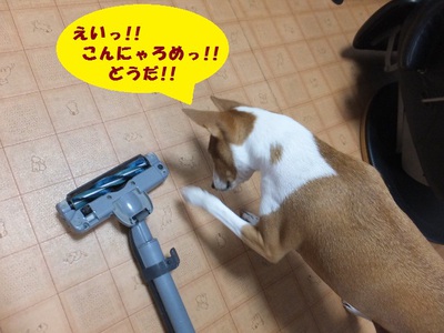 動かないものには強気（笑）