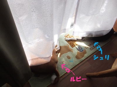 横着するから顔が・・・（笑）