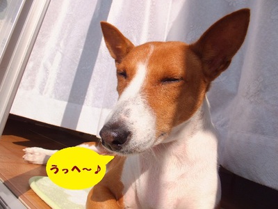 やっぱりね・・・。。