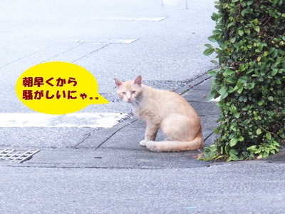 久々のランチ♪