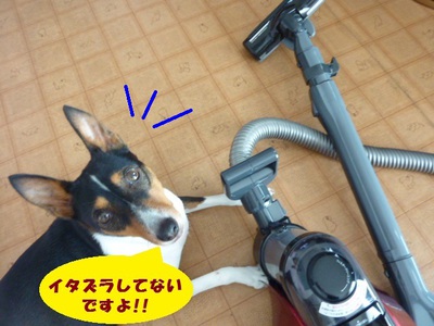 死ぬかと思った。。