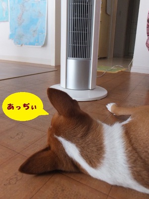 熱帯夜が続く～。。