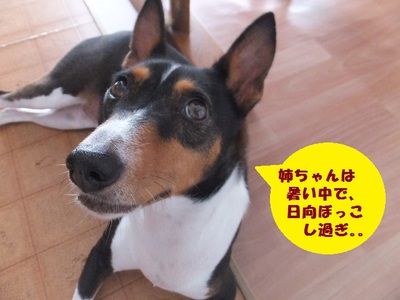 ルビーさんの顔ったら・・・（笑）