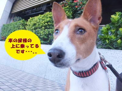 台風が来るよ・・・(**)