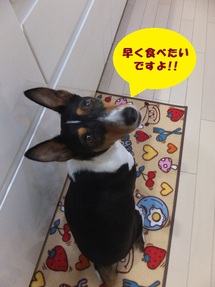 台風の後。。