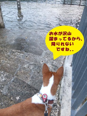 月一のウマウマ♪