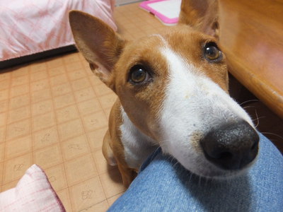 シュリの意外な苦手なもの！？