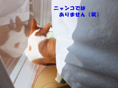 水曜日のいろいろ。。