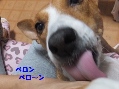 ビロ～ンとかベロ～ンとか（笑）