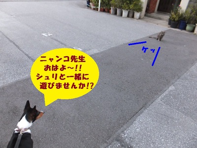 月曜日のいろいろ。。