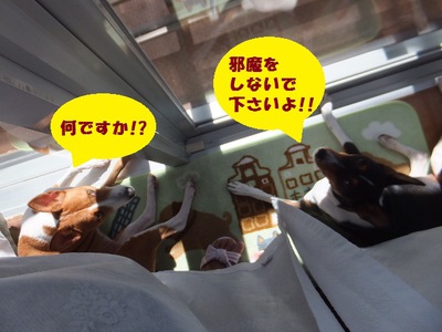 横着するから顔が・・・（笑）