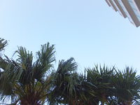晴天土曜日♪ 2014/04/13 05:58:05