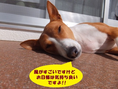 シミ・ソバカス。。