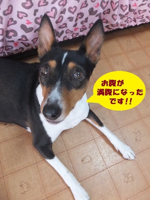 シュリの方が一枚上手（笑）