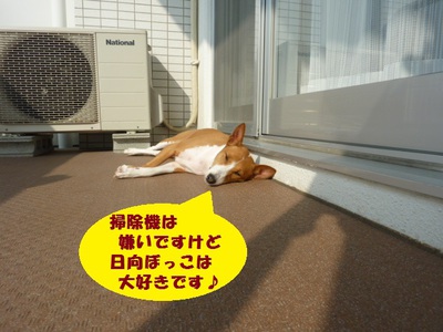 死ぬかと思った。。