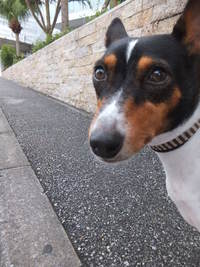 日傘か雨傘か。。 2014/06/18 05:33:13