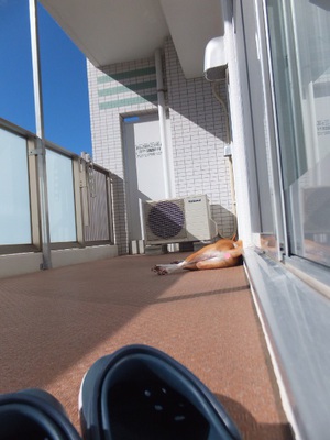 巻いて巻いて。。