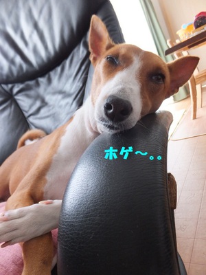 スーパームーン♪
