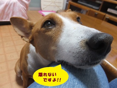 シュリの意外な苦手なもの！？