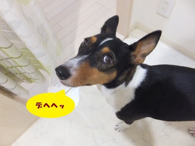 長いお留守番デー。。