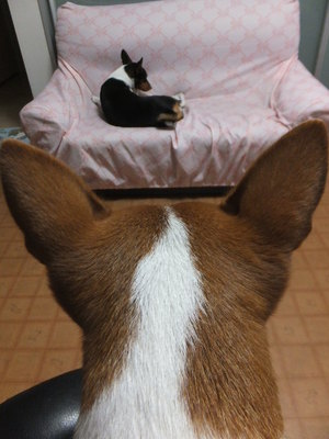 横着するから顔が・・・（笑）