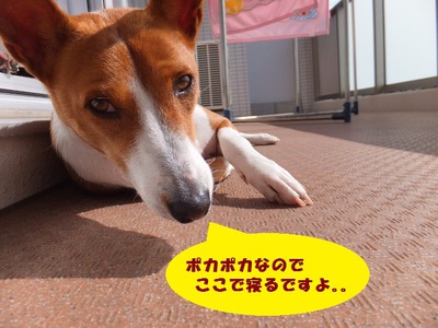 何事も無く平穏（＾＾）