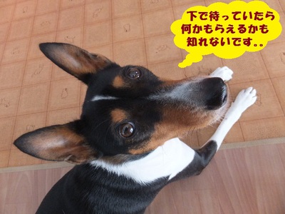 雨だったけど。。