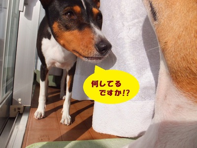 首。。