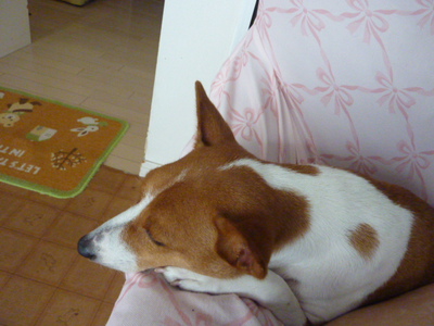 とりあえず、体調復活～。。