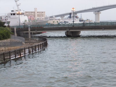 大潮で高潮。。