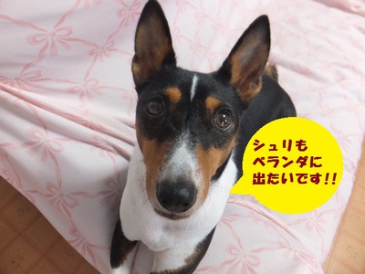 いよいよ。。