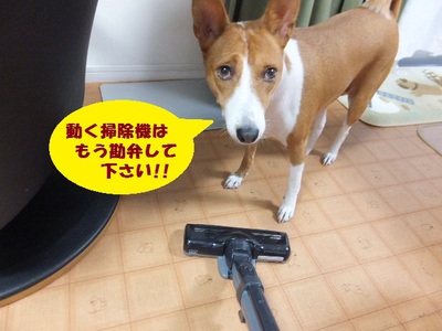 動かないものには強気（笑）