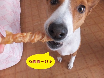 おやつ万歳！！