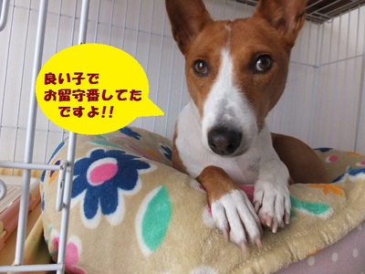 雨だったけど。。