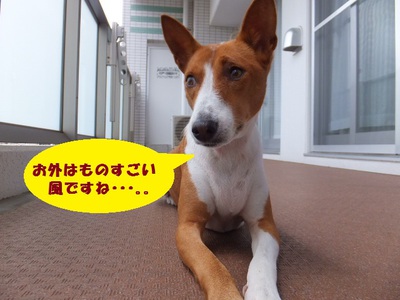 シミ・ソバカス。。