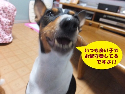 雨雨降れ降れ。。