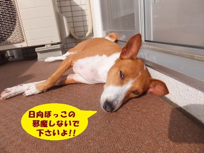 梅雨の晴れ間～！！