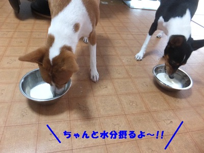 台風が来るよ・・・(**)
