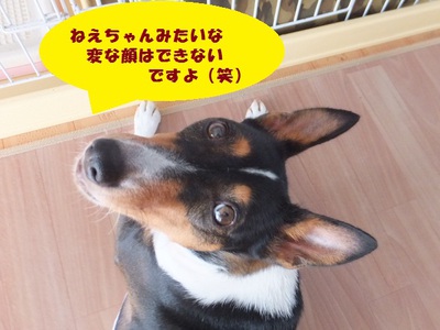 スーパームーン♪
