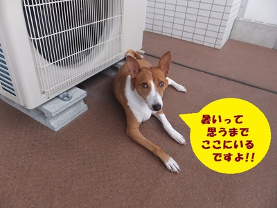 半年なんてあっという間（＾＾；