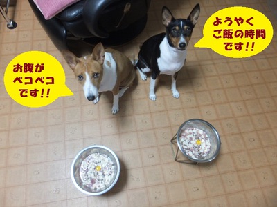 フル回転な日。。