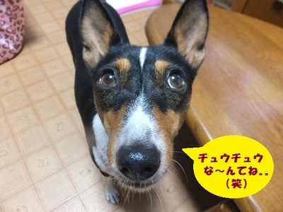 今度は・・・ネズミって（笑）