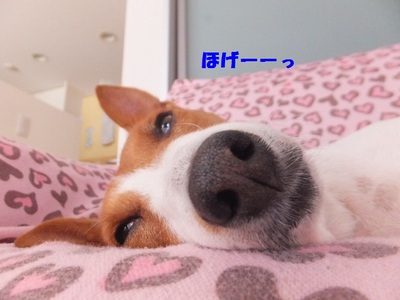 工事の音なんてへっちゃら。。