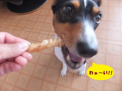 おやつ万歳！！