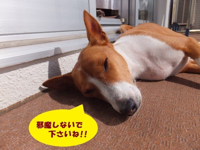 何事も無く平穏（＾＾）